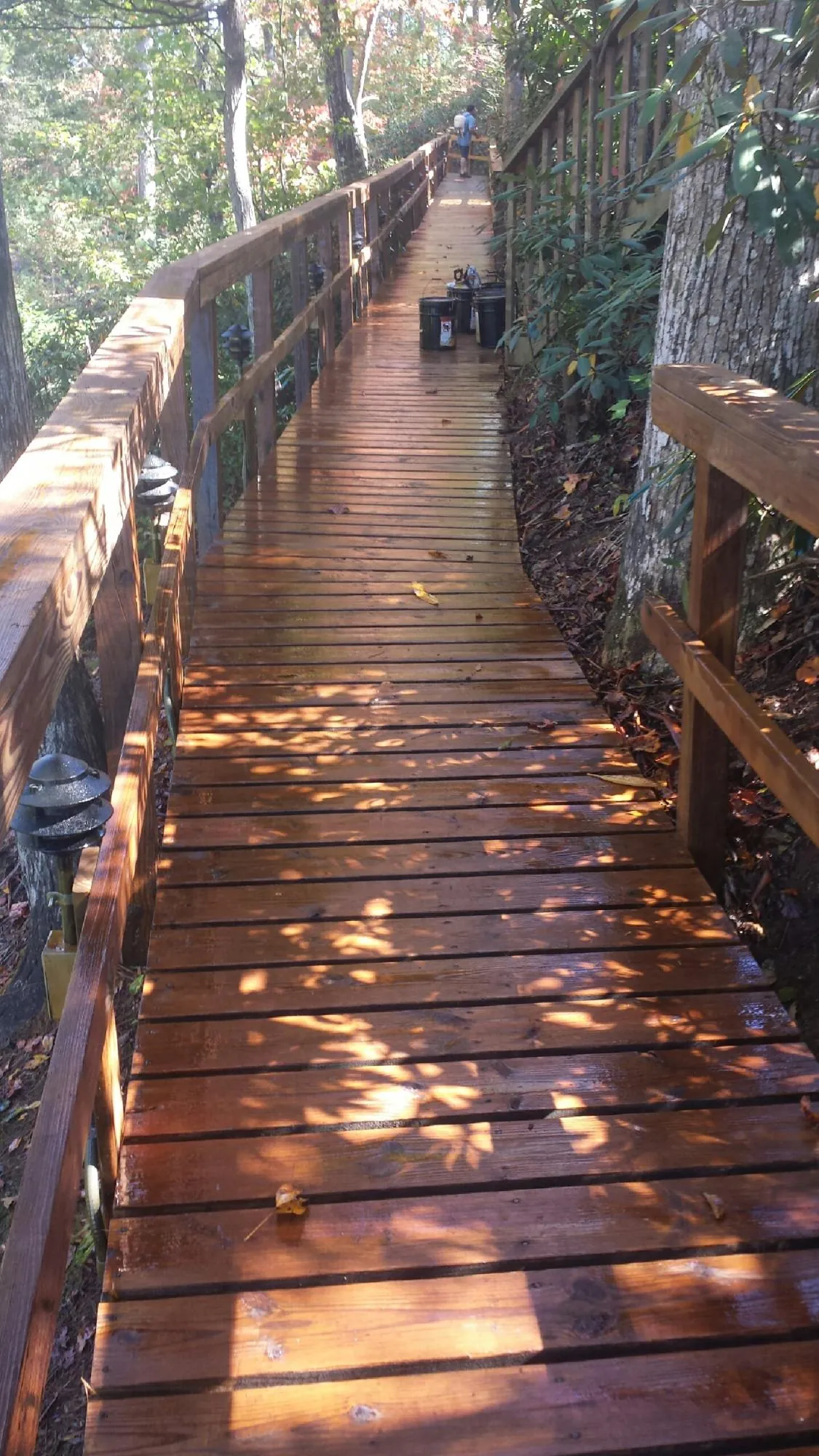Freshly stained wood walkway winding through the woods in Burr