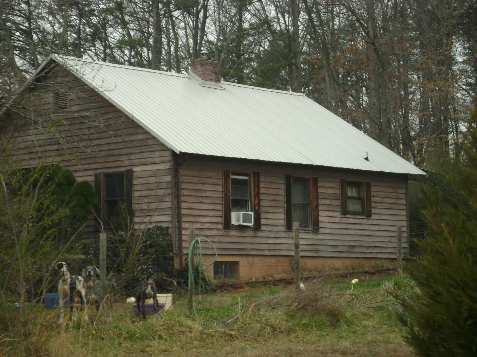 White metal roof on an old wood sided farmhouse, from a Asphalt Shingle Roof Repair job in Burr